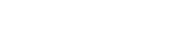 logo Bizibee BN